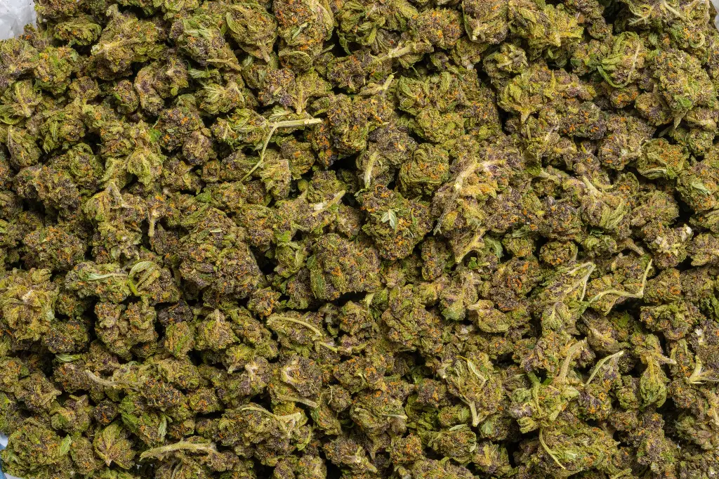 Fruity Pebbles Smalls (CBD)