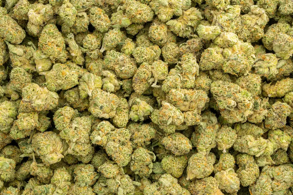 Gelato Float Indoor Mediums