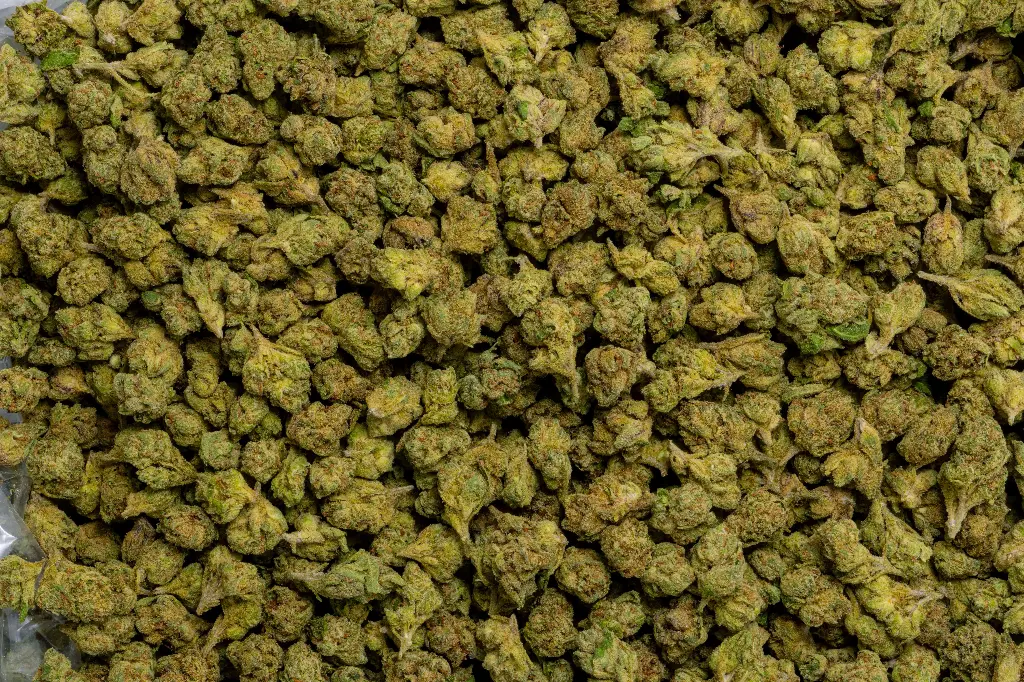 Girl Scout Cookies Smalls