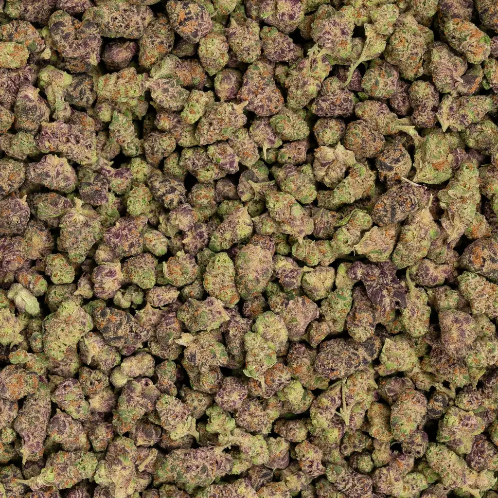 Glitter Bomb Indoor Smalls