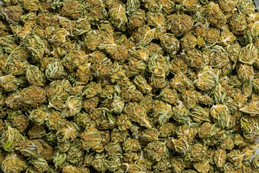 Godfather Smalls (CBD)