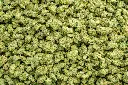Strawberry Guava Indoor Smalls