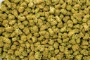 Rainbow Latte Indoor Smalls
