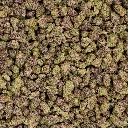 Glitter Bomb Indoor Smalls